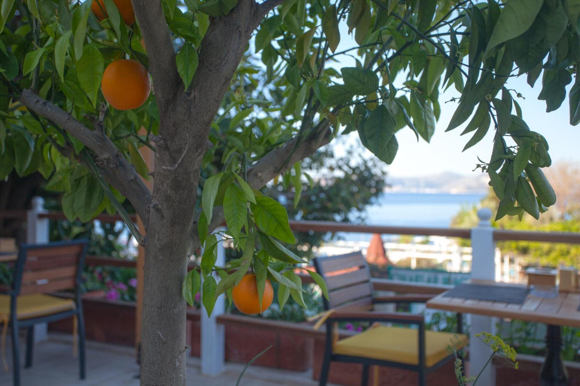 Hotel Ferah Kaş Exterior photo
